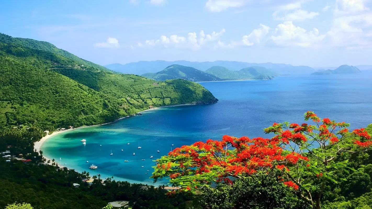 绿色高性能